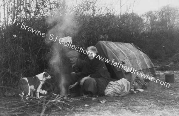 PREPARING NEW YEARS DINNER NEAR ROSCREA